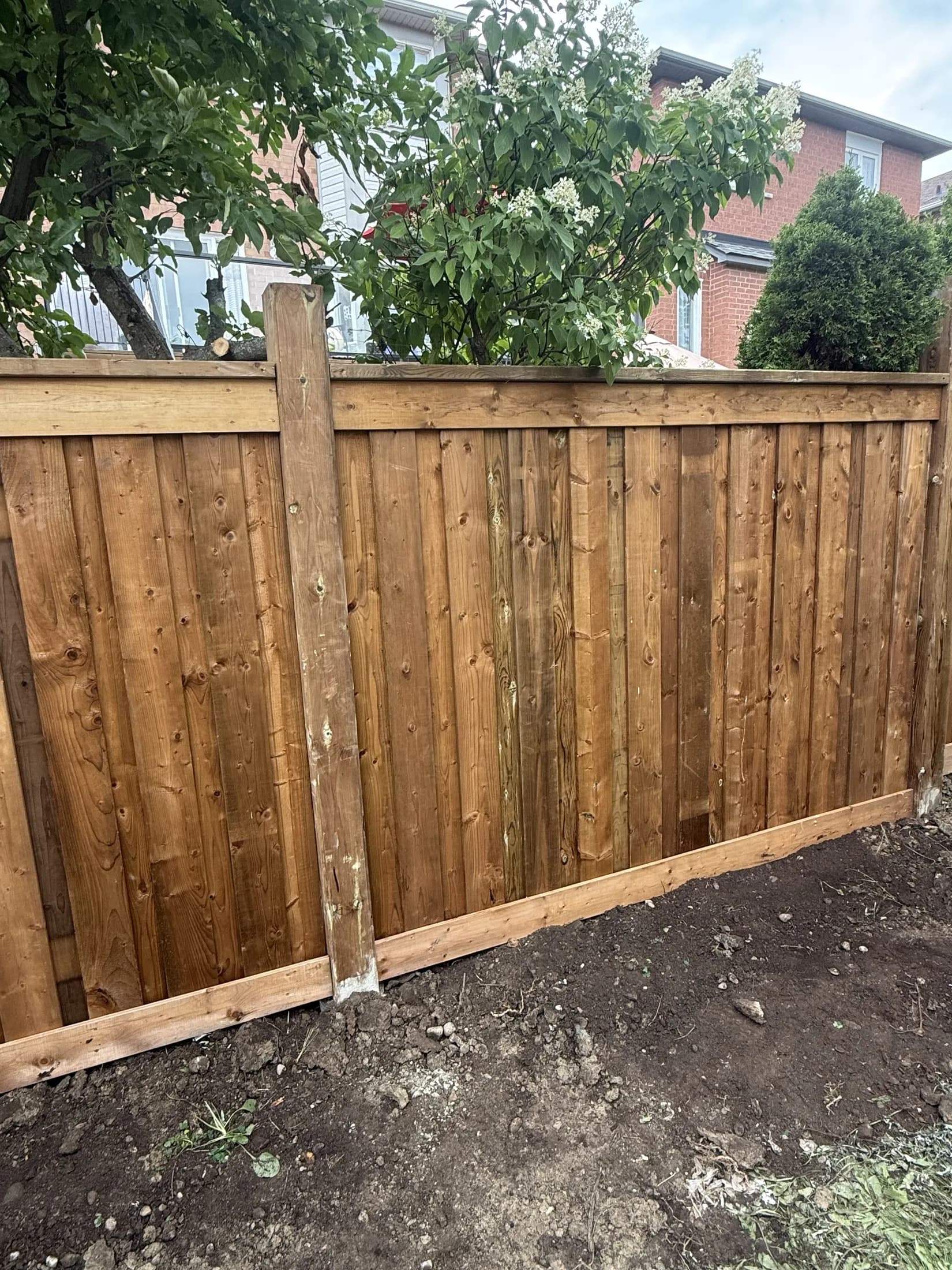 Close view of pressure-treated wood fence boards and posts